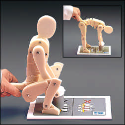 THE ANATOMICAL LIFTING MANIKIN