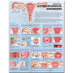 Common Gynecological Disorders  20x26 Paper