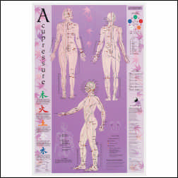 ACUPRESSURE POINT REFERENCE CHART LAM