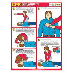 CPR FOR ADULTS LAMINATED 18"x24""