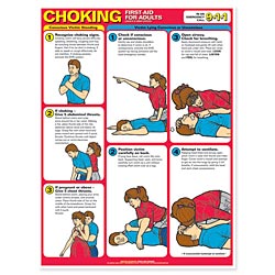 CHOKING FIRST AID FOR ADULTS LAMINATED