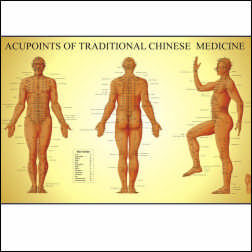 ACUPOINTS OF TRADITIONAL CHINESE MEDICINE CHART MALE