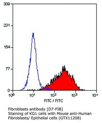 Fibroblasts antibody [D7-FIB], GeneTex