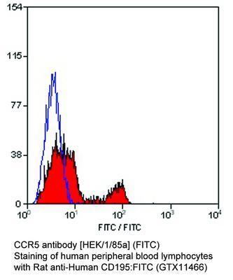 CCR5 antibody [HEK/1/85a] (FITC), GeneTex