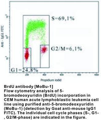 BrdU antibody [MoBu-1], GeneTex