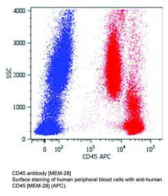 CD45 antibody [MEM-28], GeneTex