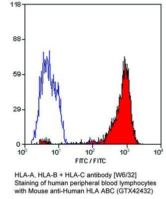 HLA-A, HLA-B + HLA-C antibody [W6/32] - Mouse Monoclonal - ELISA, FACS, ICC/IF, IHC-Fr, IP - 100µg, GeneTex