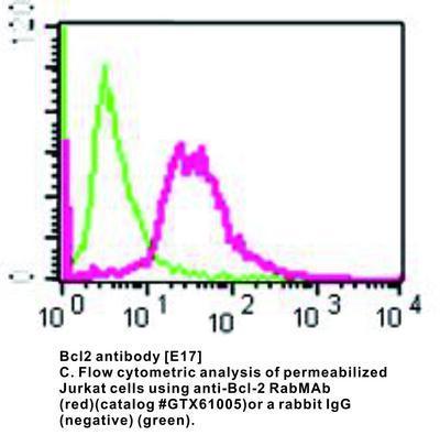 Bcl2 antibody [E17], GeneTex