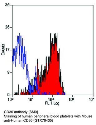 CD36 antibody [SM0], GeneTex