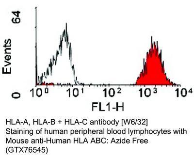 HLA-A, HLA-B + HLA-C antibody [W6/32] - Mouse Monoclonal - ELISA, FACS, IHC-Fr, IP - 100µg, GeneTex