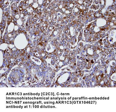 AKR1C3 antibody [C2C3], C-term, GeneTex