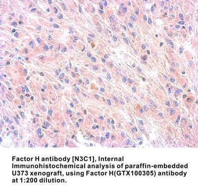 Factor H antibody [N3C1], Internal, GeneTex