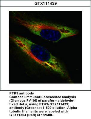 PTK9 antibody, GeneTex