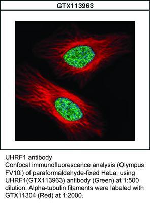 UHRF1 antibody, GeneTex