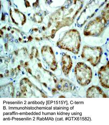 RB MAB TO PRESENILIN 2