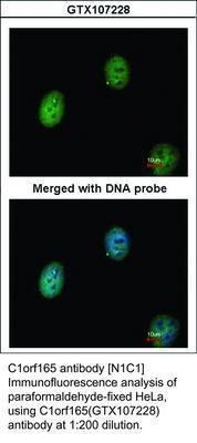 RB PAB TO C1ORF165