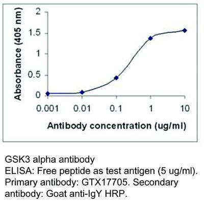 CK PAB TO GSK3 ALPHA