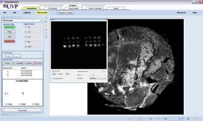 iBox Explorer² Imaging Microscope, UVP