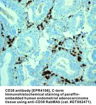 RB MAB TO CD38