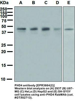 RB MAB TO PHD4