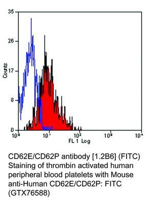 MS MAB TO CD62E/CD62P