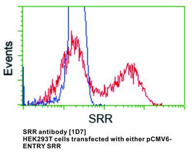 SRR antibody [1D7], GeneTex