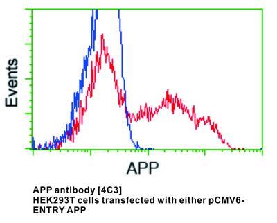 APP antibody [4C3], GeneTex