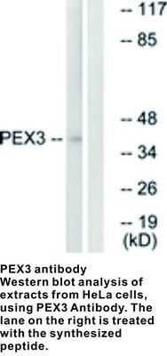 RB PAB TO PEX3