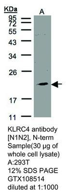 RB PAB TO KLRC4