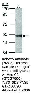 RB PAB TO RABEX5