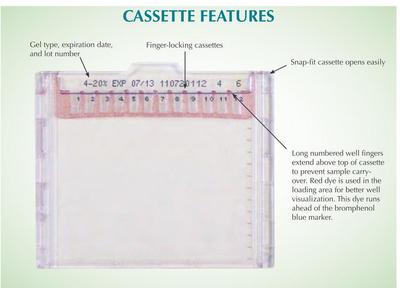 ClearPAGE SDS Gel Sampler Kits, CBS Scientific