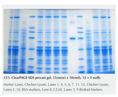 ClearPAGE SDS Gel Sampler Kits, CBS Scientific