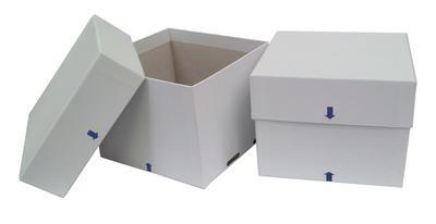 VWR® CryoPro® Fiberboard Storage Boxes and Dividers