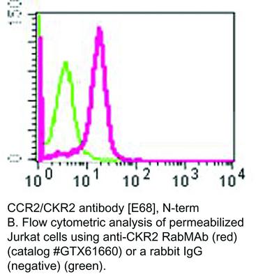 CCR2/CKR2 antibody [E68], N-term, GeneTex