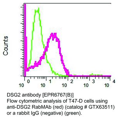 DSG2 antibody [EPR6767(B)], GeneTex