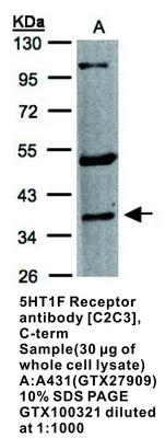 RB PAB TO 5HT1F RECEPTOR