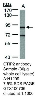 RB PAB TO CTIP2