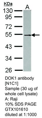 RB PAB TO DOK1