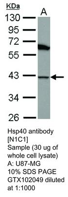 RB PAB TO HSP40