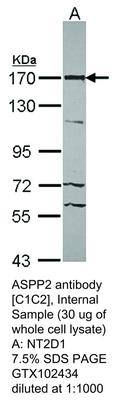 RB PAB TO 53BP2