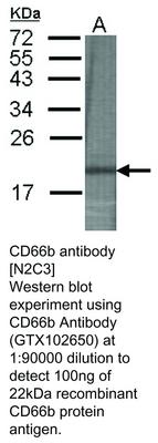 RB PAB TO CD66B