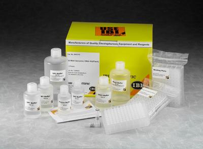 96-Well Genomic Plant DNA Kit, IBI Scientific