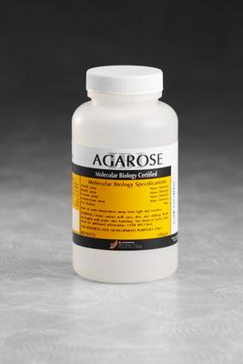 Basic Agarose