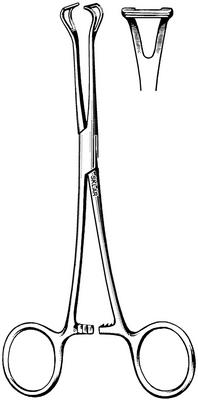 BABCOCK FORCEPS 6.25IN