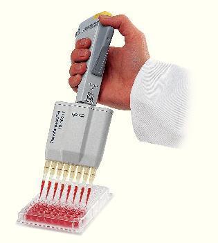 BRAND Transferpette®-8/-12 Multichannel Pipettors, Variable Volume, BrandTech