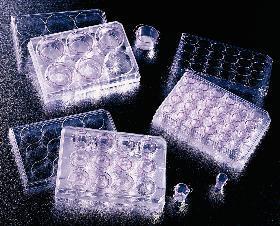 Falcon® Cell Culture Inserts, Sterile, Corning®