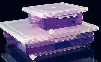 Nalgene® Staining Boxes, Thermo Scientific