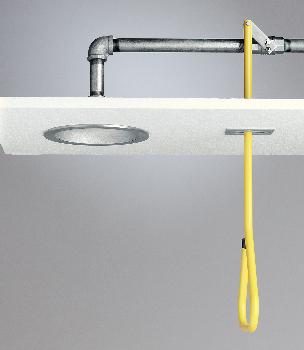 Lifesaver® Ceiling-Mount Emergency Shower, Speakman®