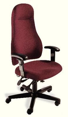 Office Armchair with Headrest, BioFit