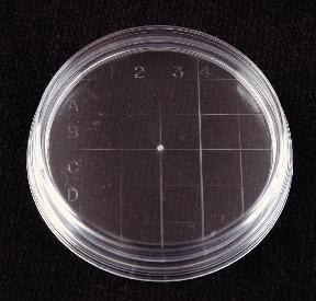 VWR® Petri Dishes, Contact Plate, Sterile